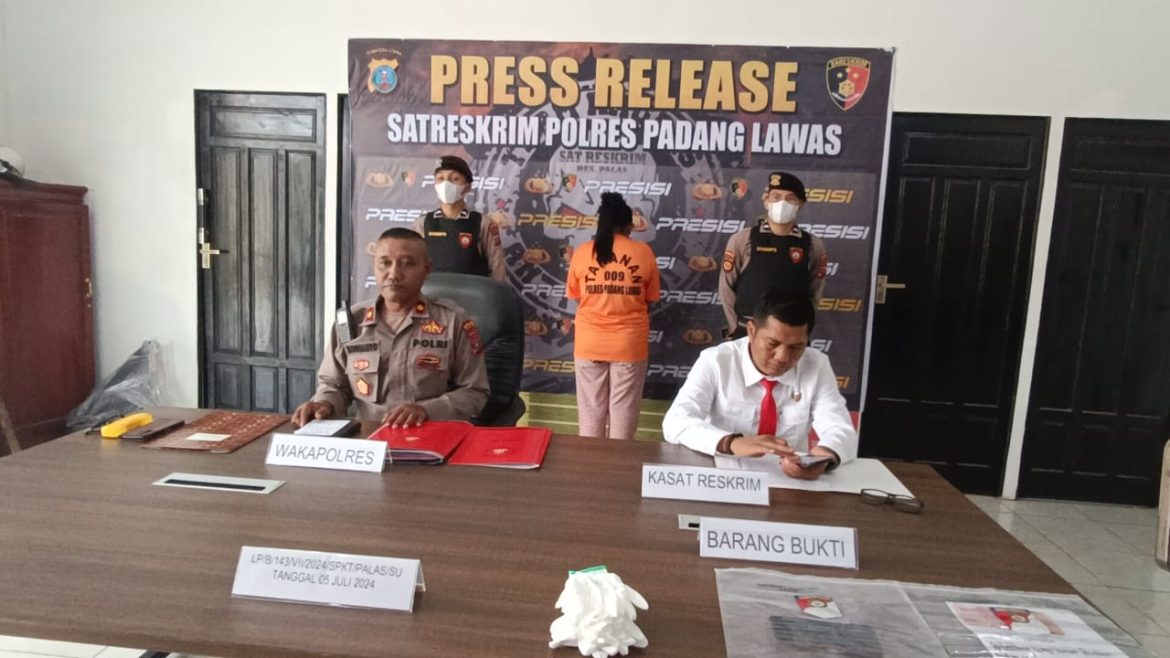 Seorang Wanita Pelaku Kasus Penipuan Penerimaan Pegawai di Amankan ke Polres Padang Lawas