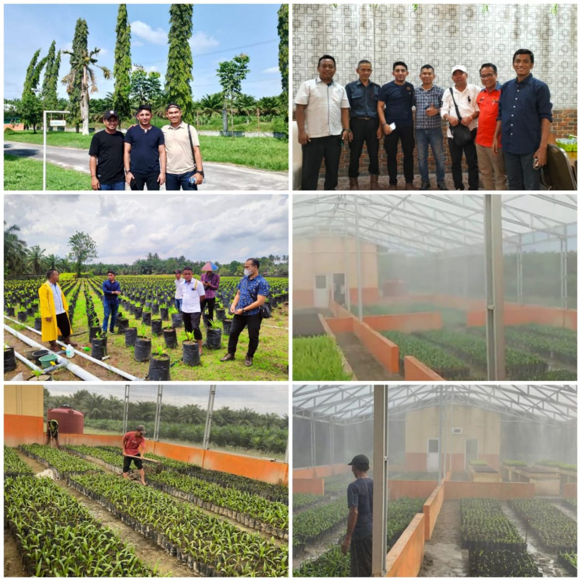 Vittorio Group Pelopori berdirinya Rumah Kasa pertama di PTP. Nusantara se-Indonesia.