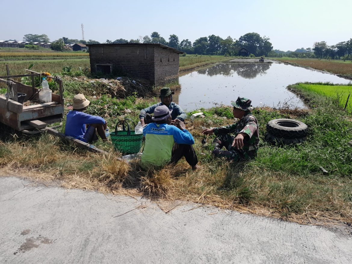 Babinsa Teras Terus Motivasi Petani Terkait Swasembada Pangan