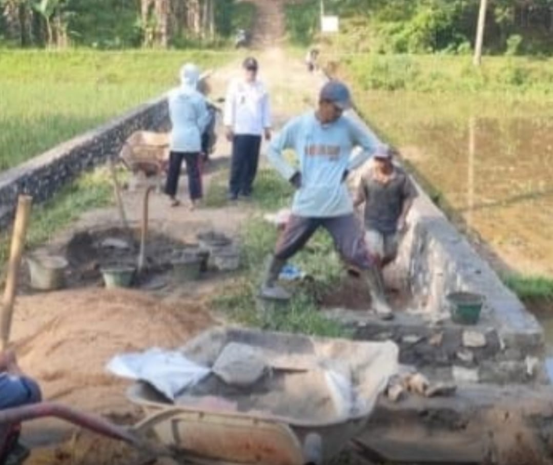 Dana Desa Pekon Pandan Surat Tahun 2024 Bagun TPT