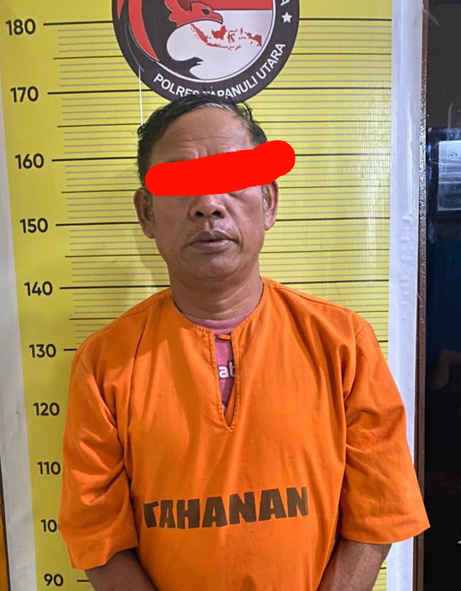 Polres Taput Amankan Pengedar Narkoba Jenis Ganja Dari Sitabotabo Siborongborong.