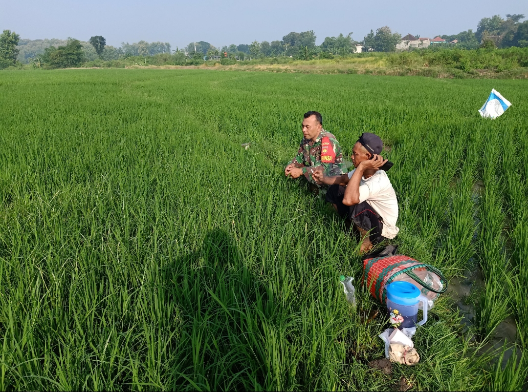 Babinsa Klego Dengarkan Keluhan Petani Lewat Komsos