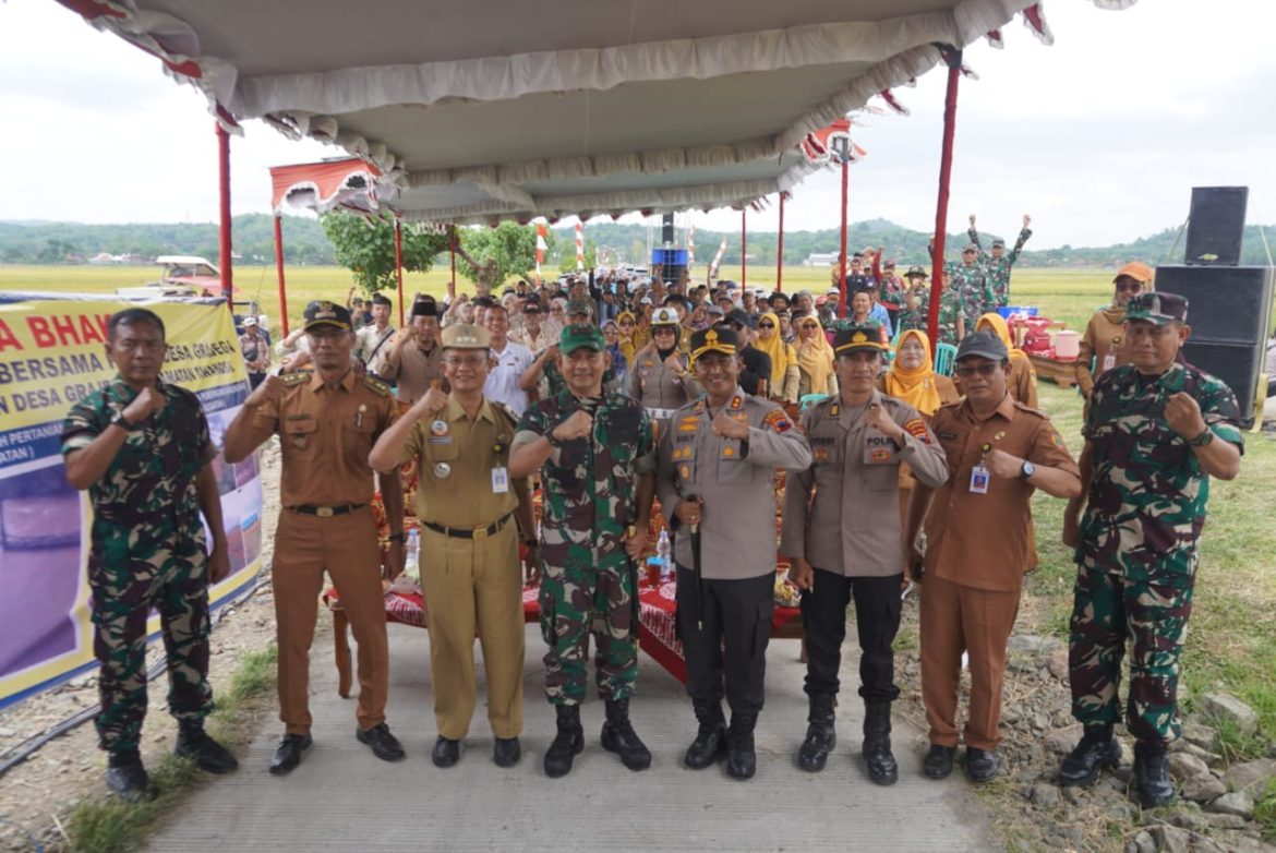 Sinergitas Tiga Pilar Panen Raya Bersama di areal persawahan Dk. Grogol, Ds. Grajegan, Kec. Tawangsari