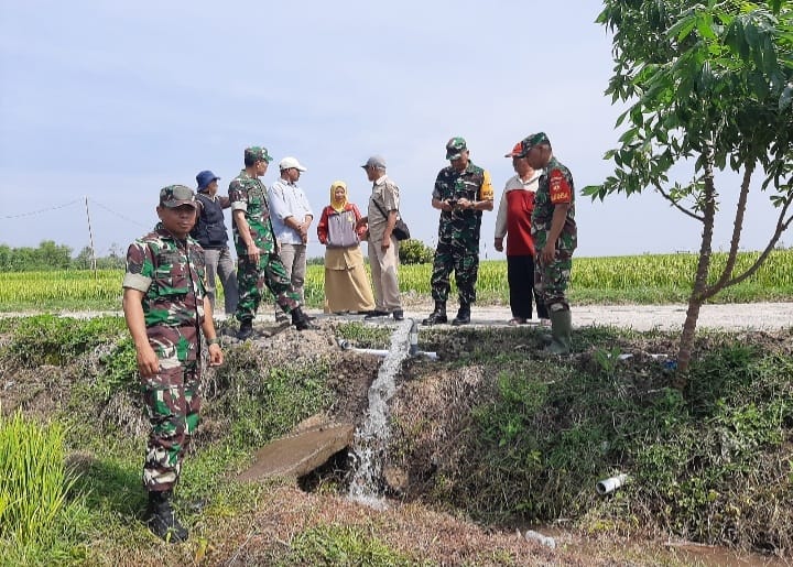 Dinas Pertanian dan Danramil Berikan Penyuluhan Kepada Babinsa dan Poktan Guna Meningkatkan Produktivitas Pertanian