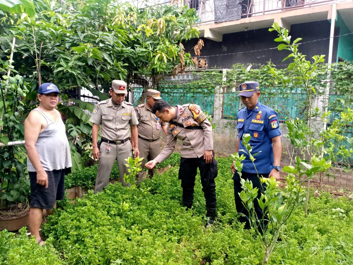 *Bhabinkamtibmas Kota Bambu Selatan Cek Tanaman Pangan Warga, Perkuat Ketahanan Pangan Lokal*