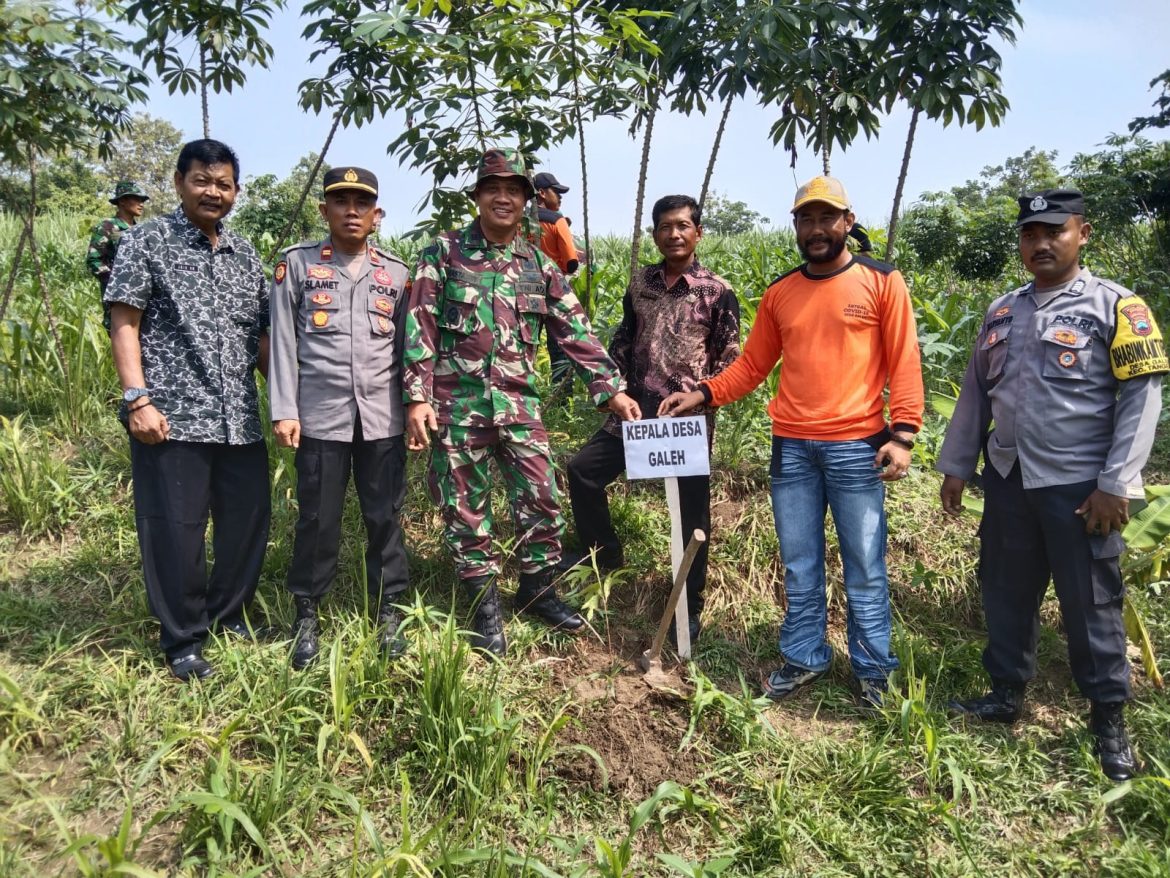 Danramil Tanam Pohon Sukun Serentak di Kawedanan: Wujud Peduli Lingkungan dan Ketahanan Pangan