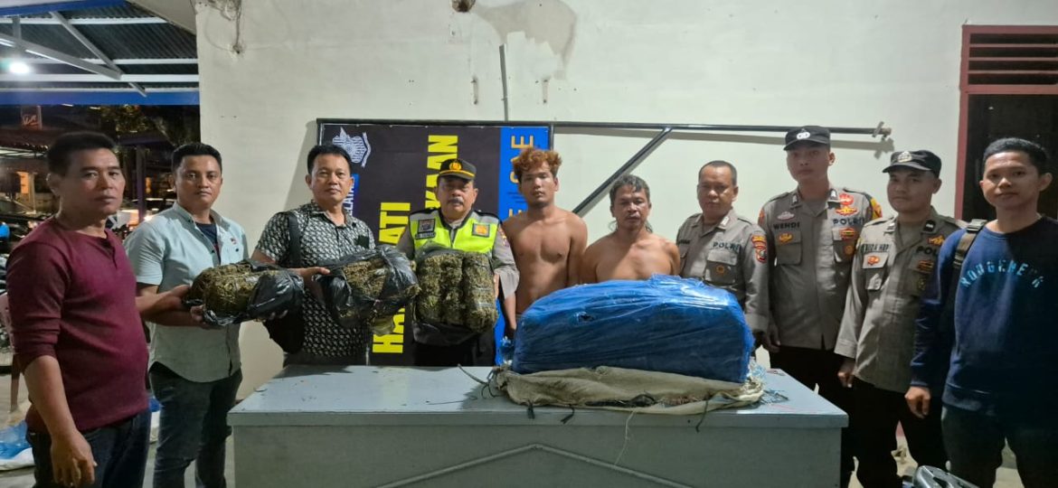 Polsek BatangToru Gelar Razia, 2 (dua) Orang Ketangkap Membawa Narkotika Jenis Ganja Sebanyak 2 Karung