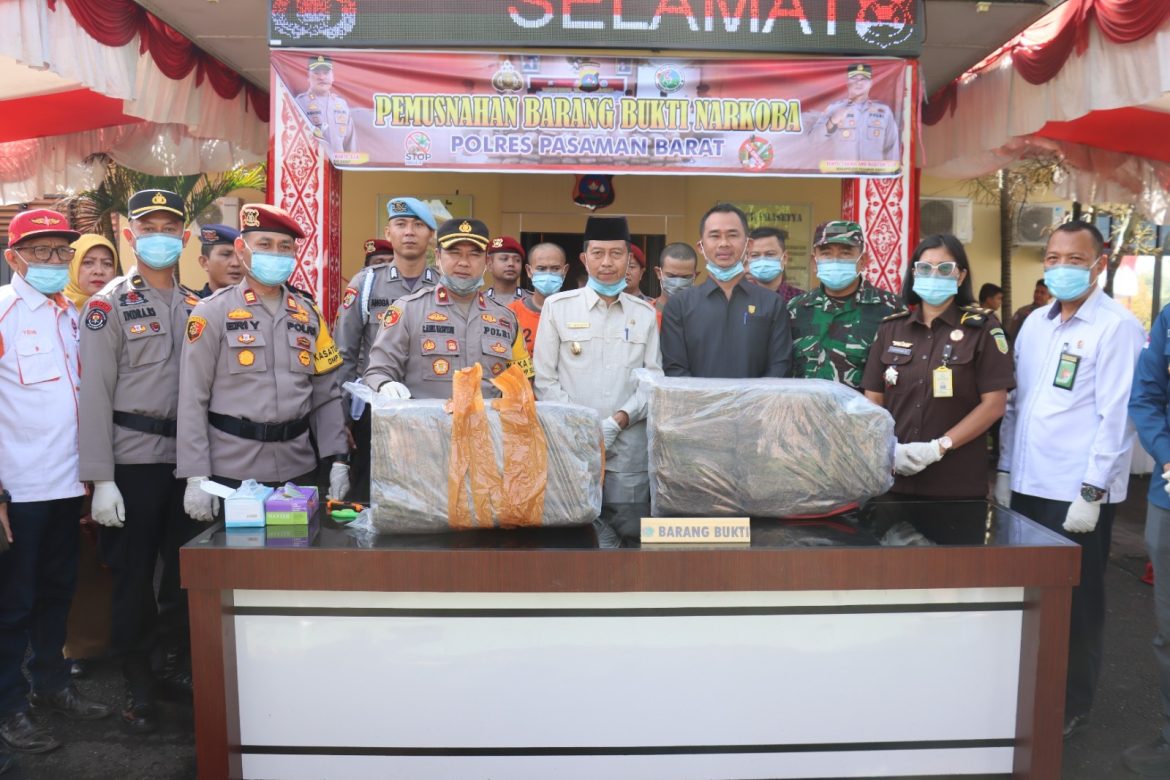 Bersama Forkopimda, Polres Pasaman Barat Musnahkan Barang Bukti Narkotika Jenis Ganja