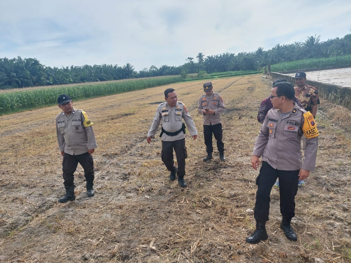 Polsek Tanah Jawa Dukung Program Ketahanan Pangan Melalui Optimalisasi Lahan Pertanian