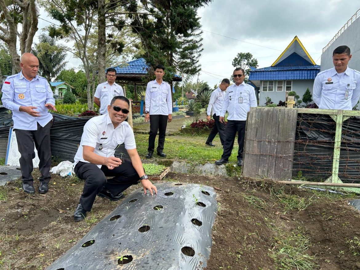 Penanaman bibit cabai dan tomat , Rutan Sidikalang Terus Dukung Ketahanan Pangan