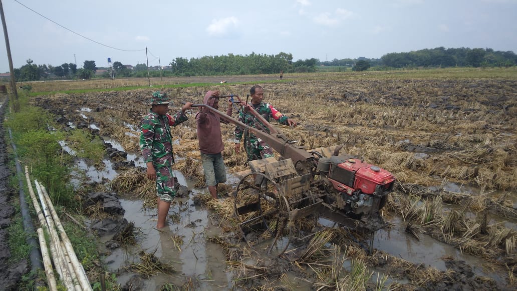 Babinsa Bantu Penyiapan Lahan Untuk Tanam Padi