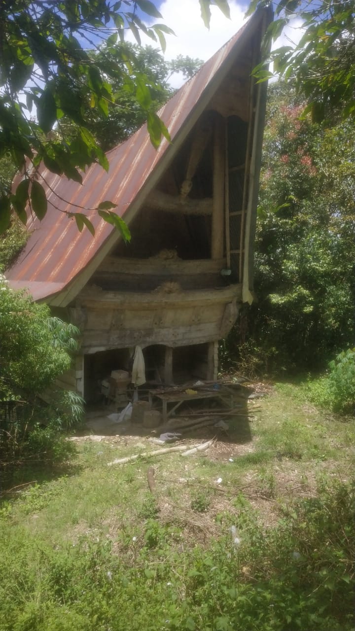 *Rumah Batak Berumur 100 Tahun di Kabupaten Toba Masih Ada di Desa Sionggang Kecamatan Lumbanjulu*