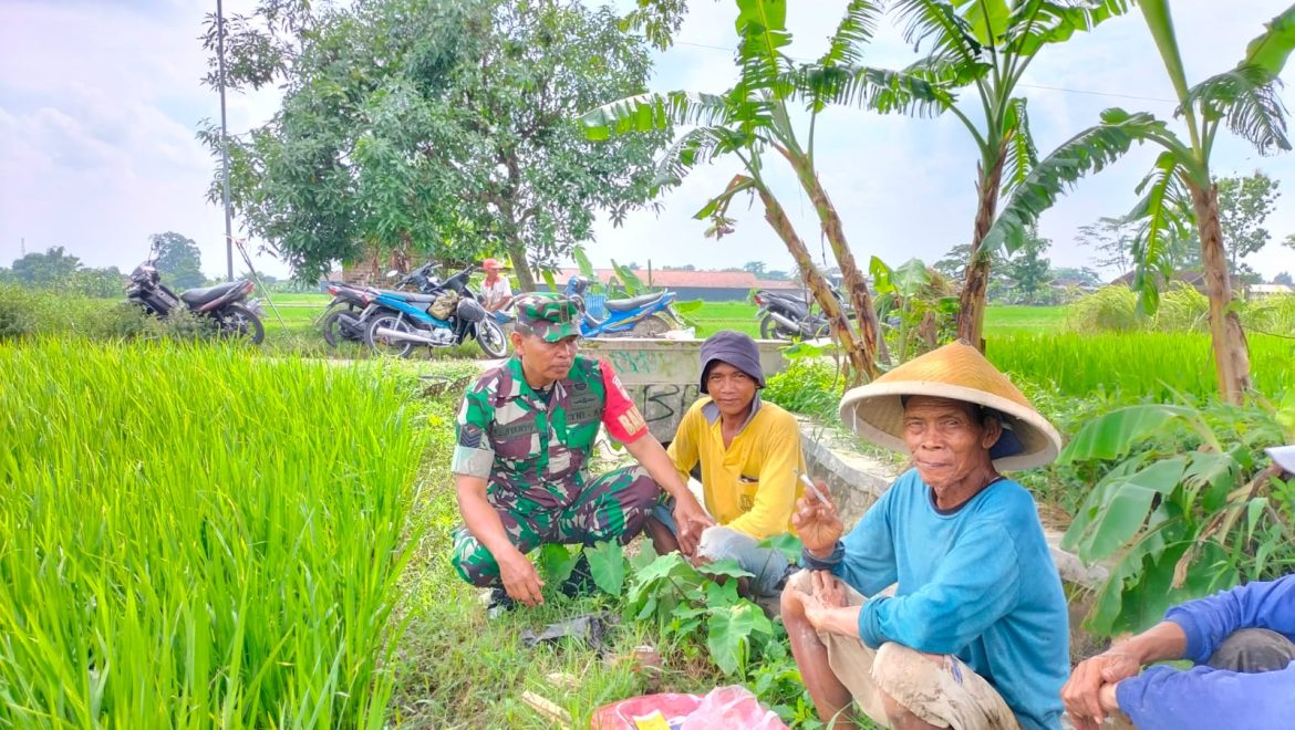 Kedekatan Babinsa Teras Dengan Petani Desa Kopen