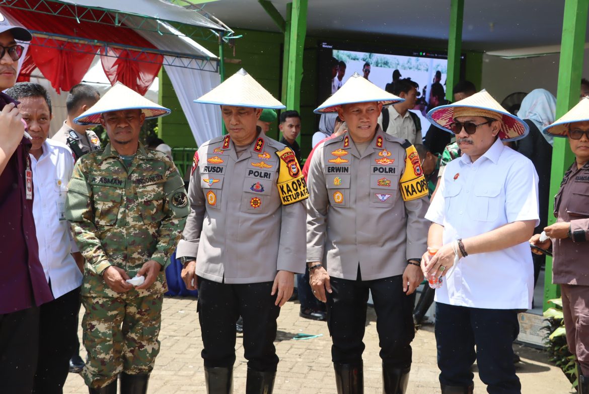 **Kapolda Sulsel Hadiri Panen Raya Serentak di Kabupaten Bone, Wujud Dukungan terhadap Ketahanan Pangan Daerah**