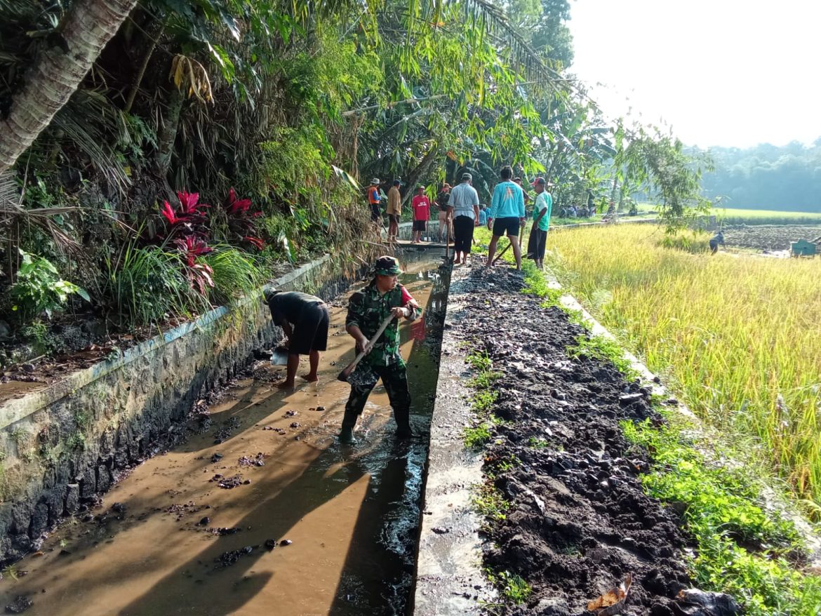 Saluran Irigasi Lancar Panen Petani Jadi Maksimal