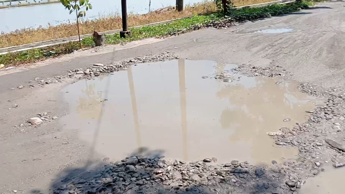 21 Tahun Usia Kabupaten Sergai, Jalan Bagaikan “Kolam Ikan” di Desa Mangga Dua Tak Tersentuh Pembangunan