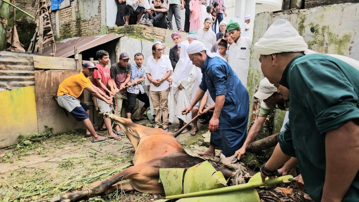 Terima Qurban Dari Sabam Rajagukguk, TGB Syekh Dr. Ahmad Sabban Rajagukguk Tegaskan Makna Persaudaraan dan Kemanusiaan