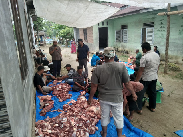 Warga Dusun-3 Pasar Baru Desa Tanjung Ibus Kurban 3 Ekor Sapi Sebanyak 21 di Momen Hari Raya Idul Adha 1446 H Tahun 2025.