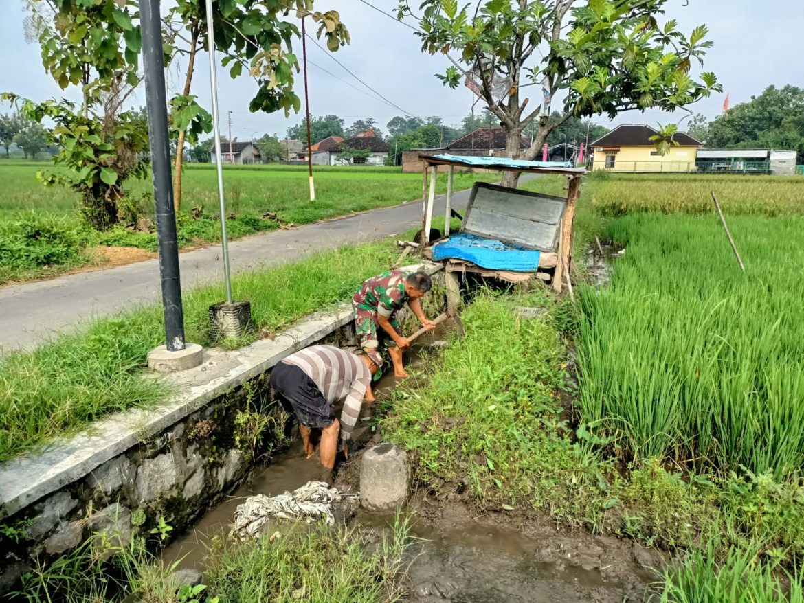 Gulma Menjadi Salah Satu Kendala Petani
