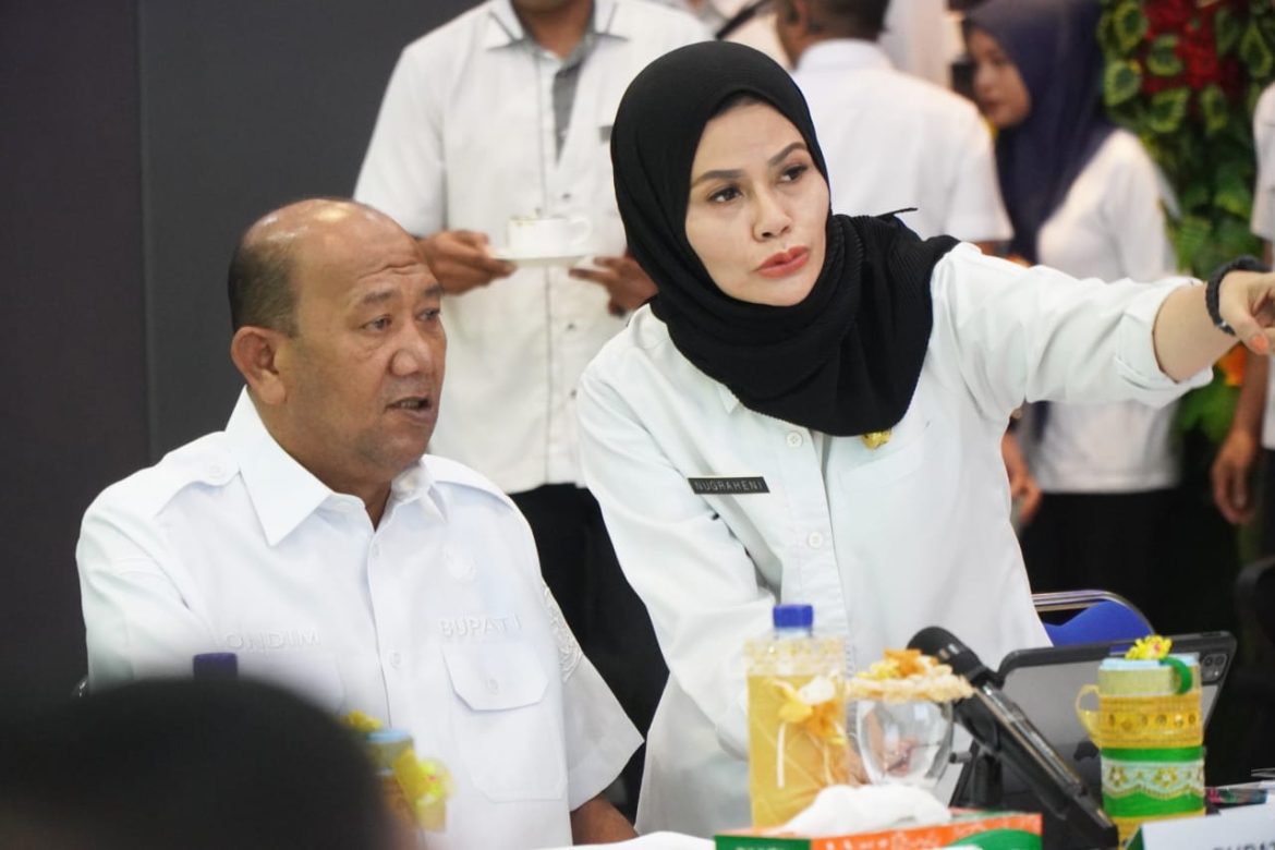 Bupati Langkat Tampilkan Inovasi TPAKD di Forum Nasional OJK