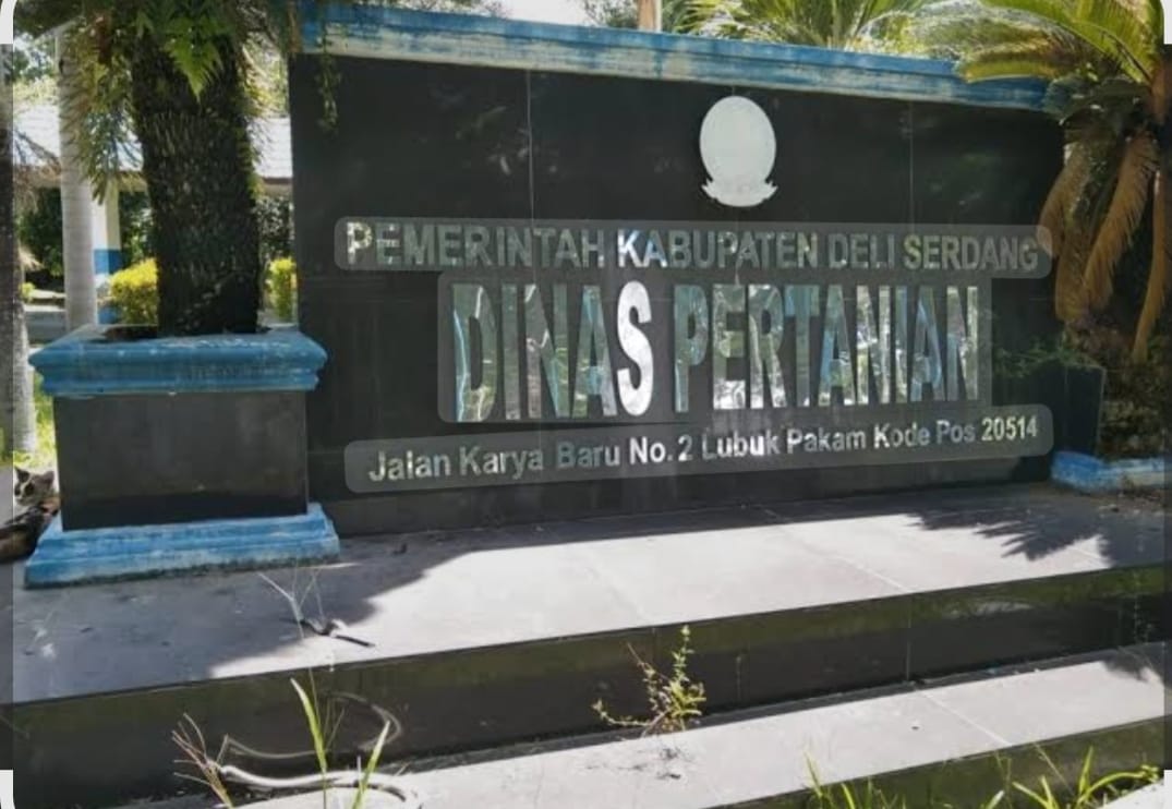 PLT Kabid Sarana dan Prasarana Deli Serdang Diduga Langgar Aturan,  Tunjuk Koordinator Penyuluh Tak Kompeten