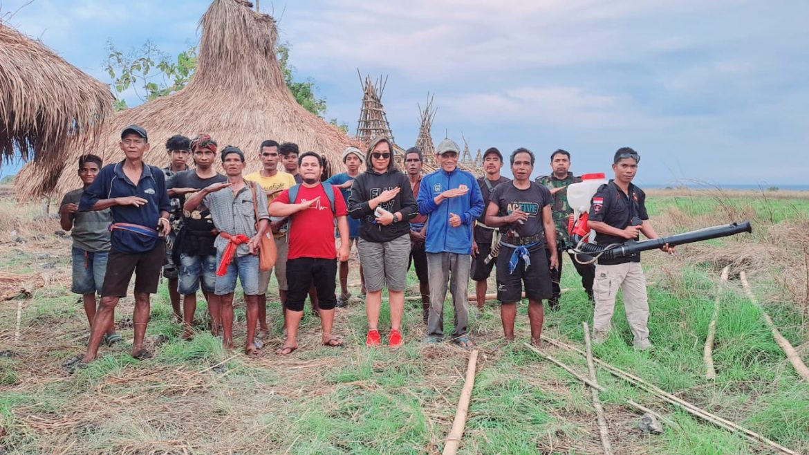 Gubernur NTT, Bapak Melkiades Lakalena, melalui Dinas Pertanian Propinsi NTT, turunkan dua unit traktor besar
