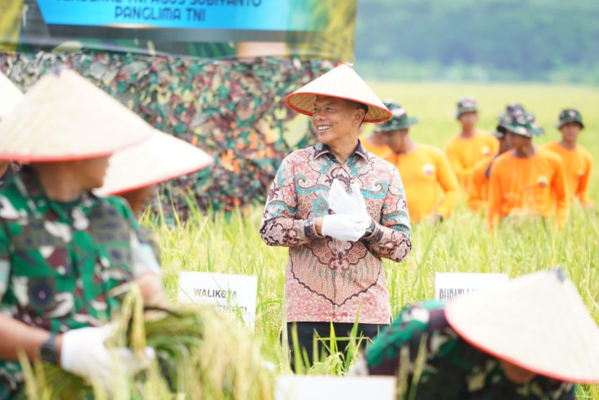 Pemkab Langkat Dukung TNI Perkuat Ketahanan Pangan Lewat Panen Raya di Deli Serdang
