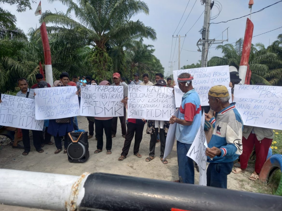 Diduga Rubah Kawasan Hutan Jadi Kebun Kelapa Sawit, Kelompok 80 Minta Presiden Tutup PT DMK