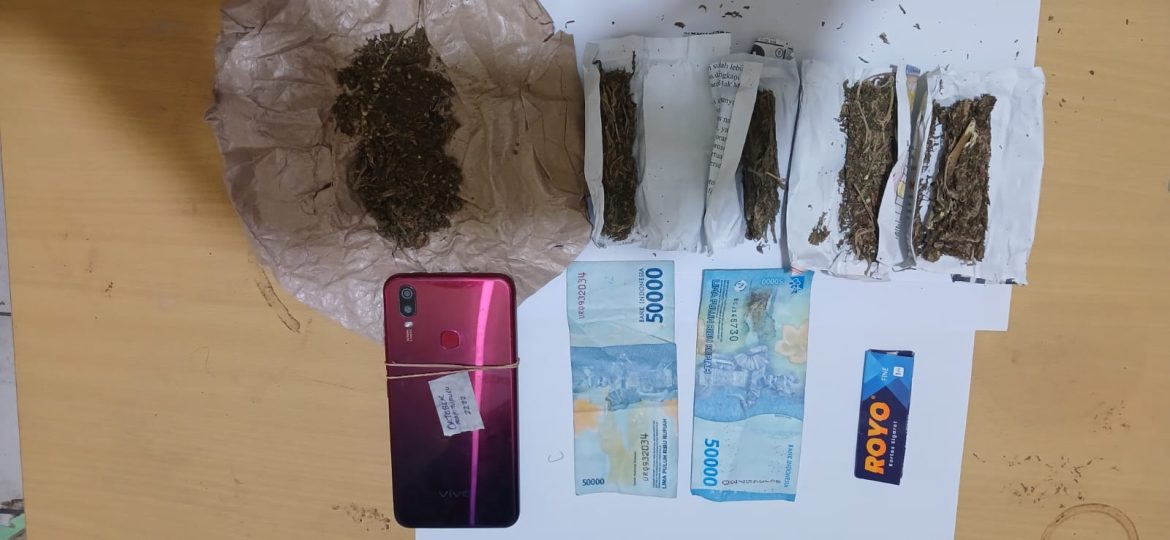 Pengedar Ganja Ditangkap Satresnarkoba Polres Toba di Warung Tuak di Balige