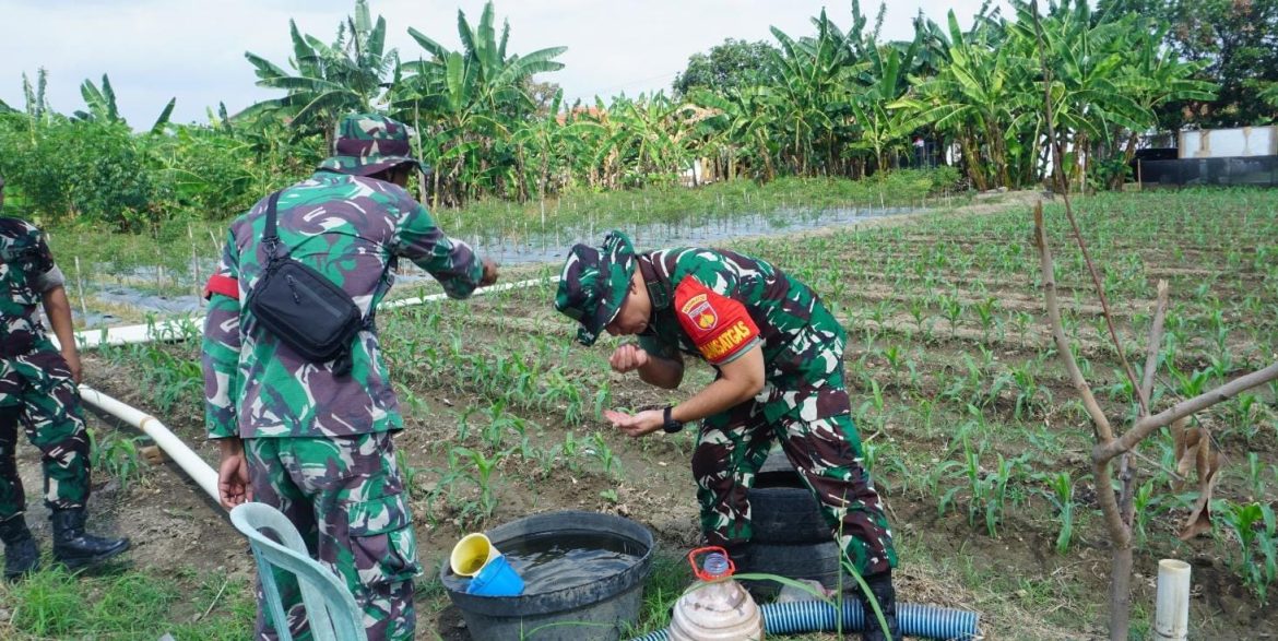 *Ketahanan Pangan Jadi Prioritas, Dansatgas TMMD Reguler Ke-125 Kodim 0735/Surakarta Cek Progres Penanaman Jagung*