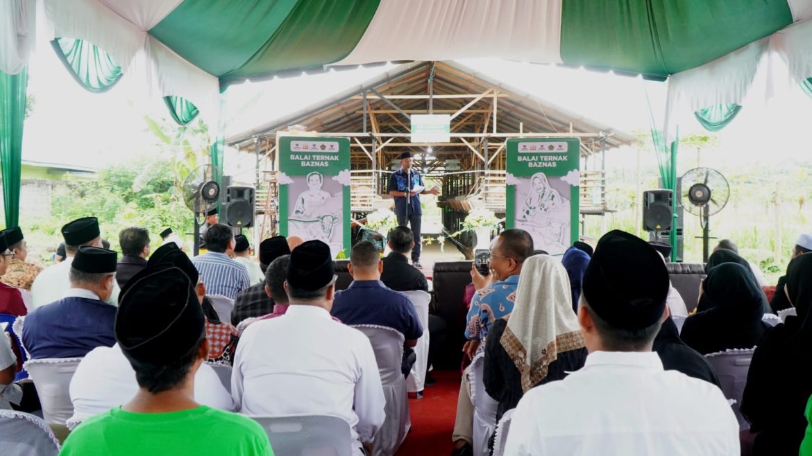 Syah Afandin Targetkan Balai Ternak Baznas Hingga ke Kecamatan untuk Bangkitkan Ekonomi Masyarakat