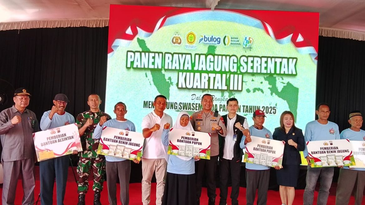 Forkopimda Boyolali Gelar Panen Raya Jagung Serentak, Dorong Ketahanan Pangan Daerah