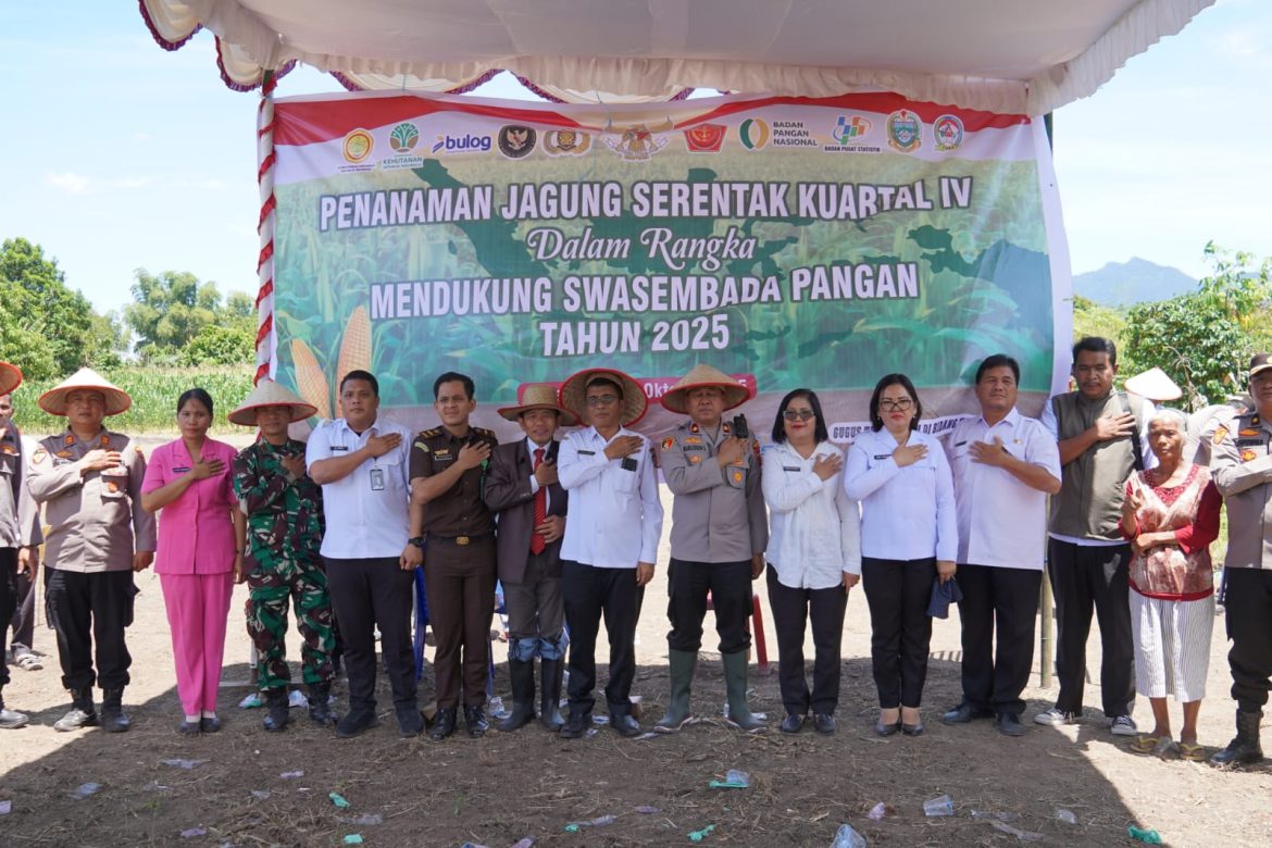 Penanaman Jagung Serentak Kuartal IV Dukung Swasembada Pangan