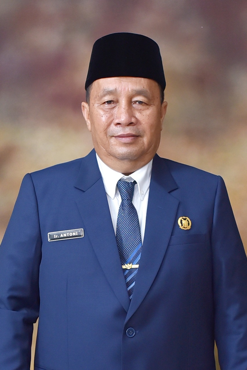 Wakil Ketua DPRD Langkat, Antoni, Apresiasi Terpasangnya Lampu Jalan di Padang Tualang.