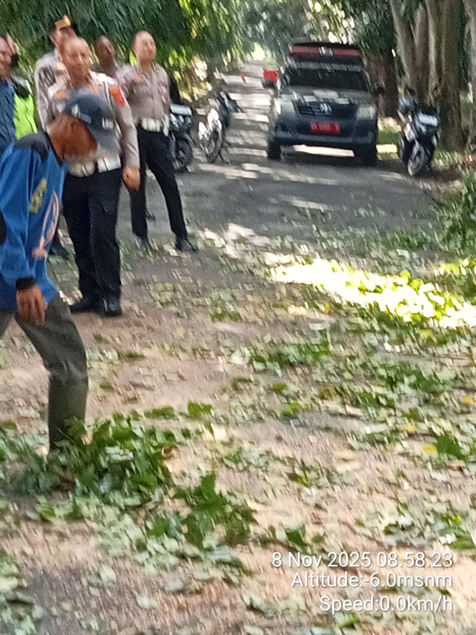 Satlantas Polres Langkat Bergerak Cepat Bersama DLH dan BPBD, Bersihkan Pohon Tumbang di Jalan Tengku Umar.