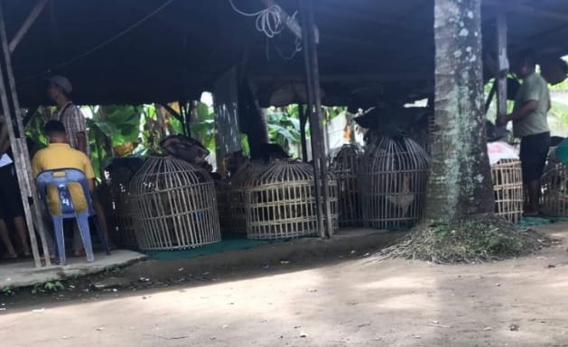 Konfirmasi Tak Berbalas, Lapak Judi di Marelan Diduga Tetap Berjalan Tanpa Gangguan