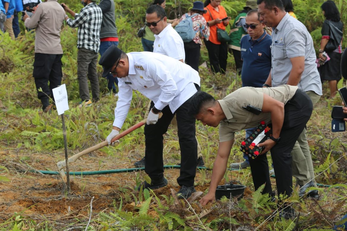‎Bupati Tapanuli Utara Canangkan Penanaman Sejuta Pohon Durian untuk Pemulihan Pascabencana