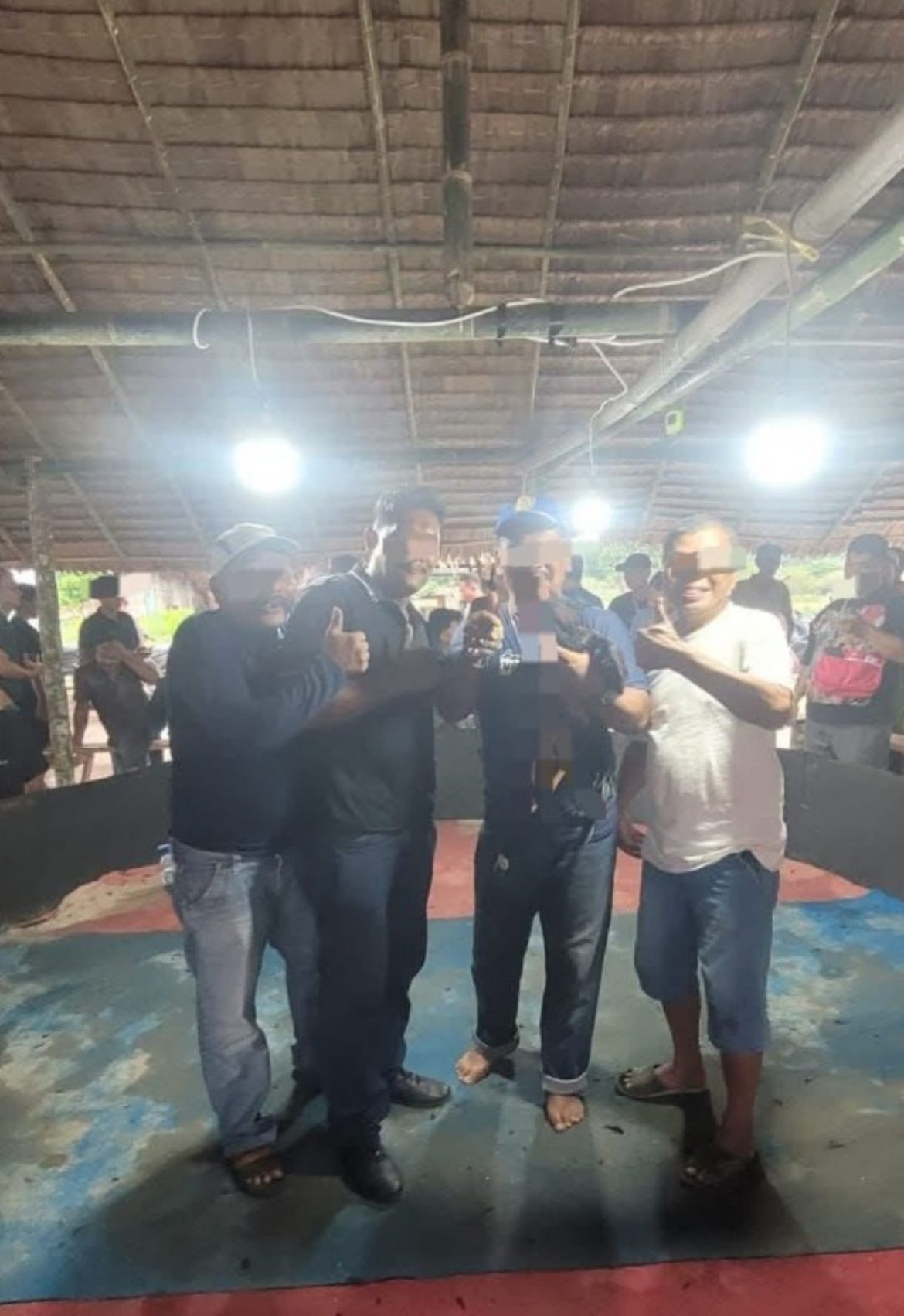 Keramaian Arena Sabung Ayam di Kutalimbaru Picu Kekhawatiran Sosial