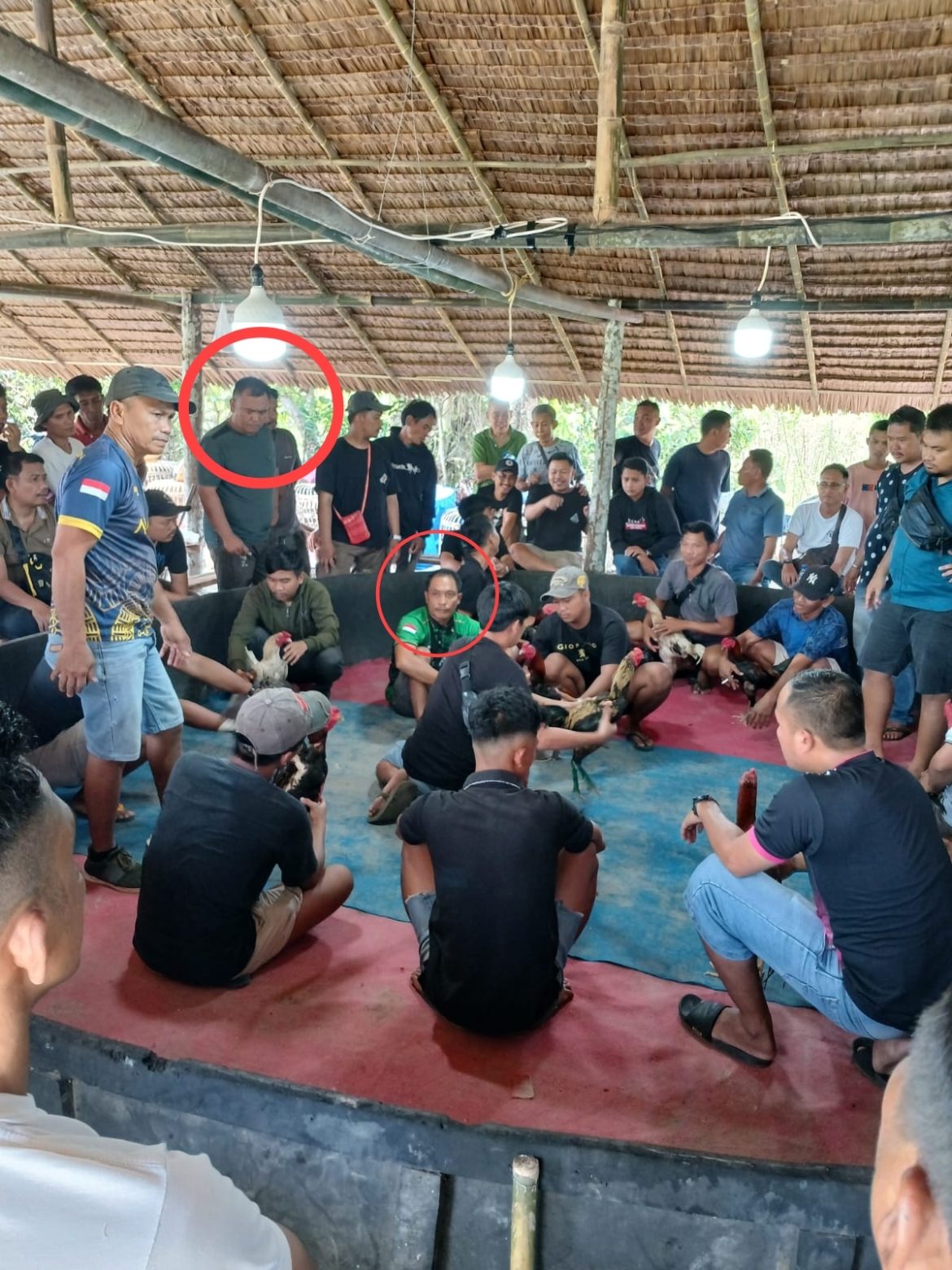 Aktivitas Judi di Kutalimbaru Disorot, Respons Aparat Dinilai Minim