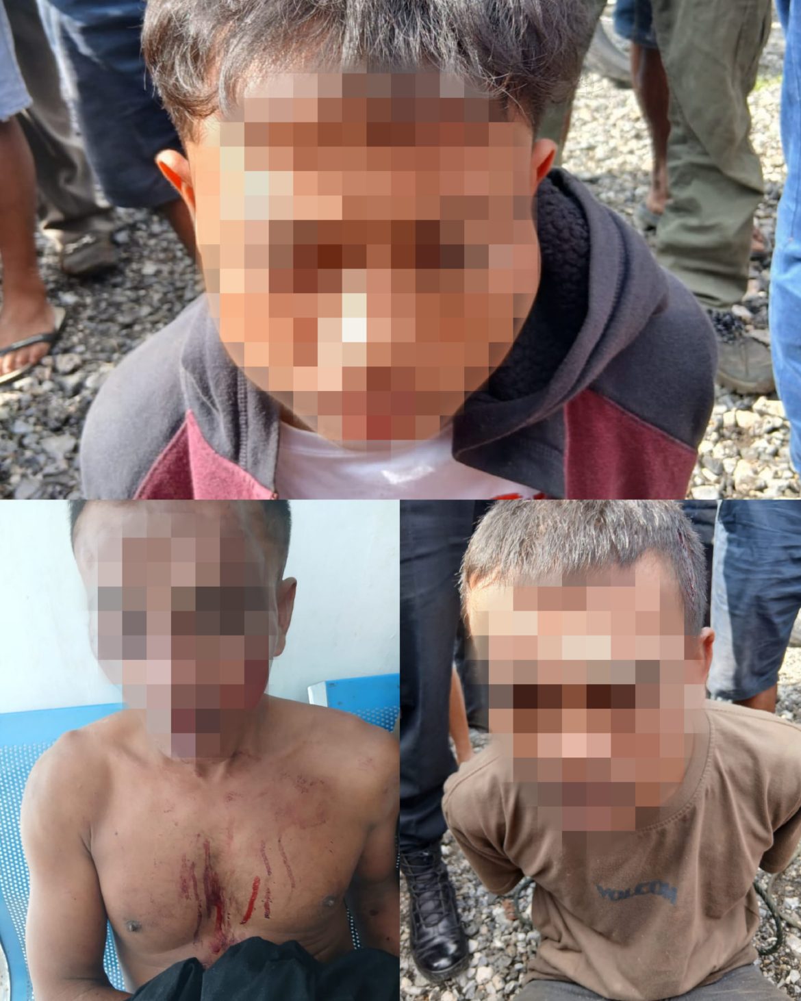 Polsek Porsea Amankan 3 Terduga Pelaku Pencurian Ternak di Pintu Pohan Maranti