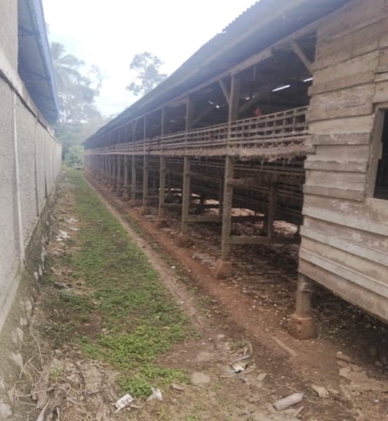 Warga Laporkan Pabrik Kopra Diduga Ilegal, Sorot Nama Pemilik dan Ancam Gugatan