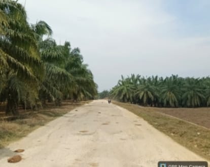 Warga Pematang Jaya Desak Pemerintah Kabupaten Langkat Segera Aspal Jalan Desa Damar Condong