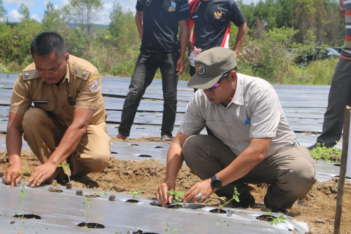 Bupati Taput Dorong BUMDes Sisordak Jadi Pemasok Program Makan Bergizi Gratis  ‎