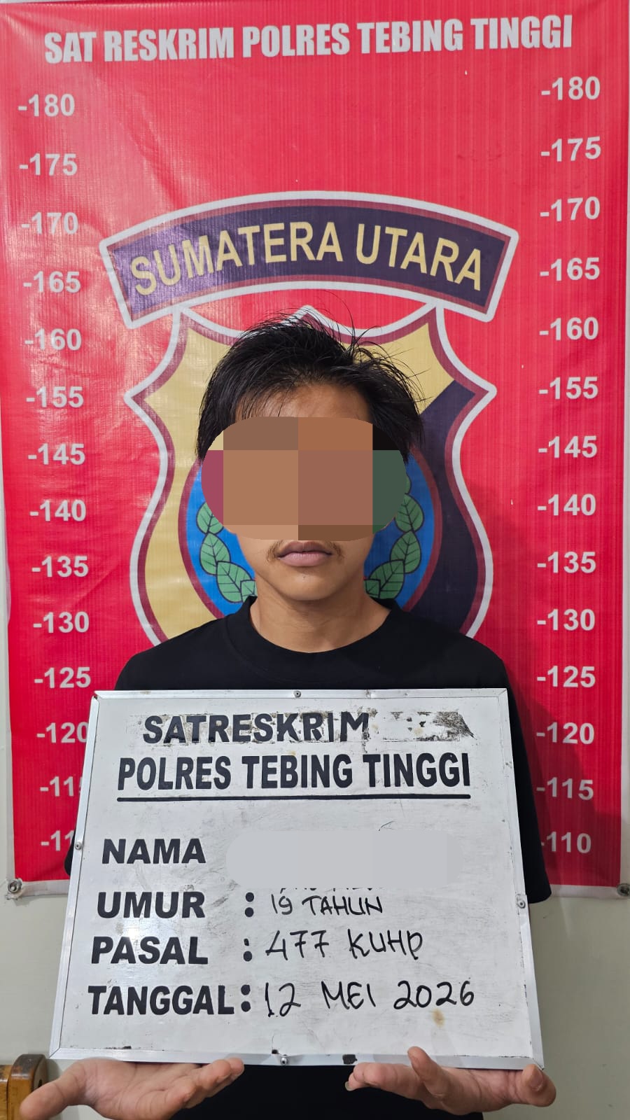 Curi Dua Ekor Lembu, Sat Reskrim Polres Tebing Tinggi Berhasil Tangkap Pelaku