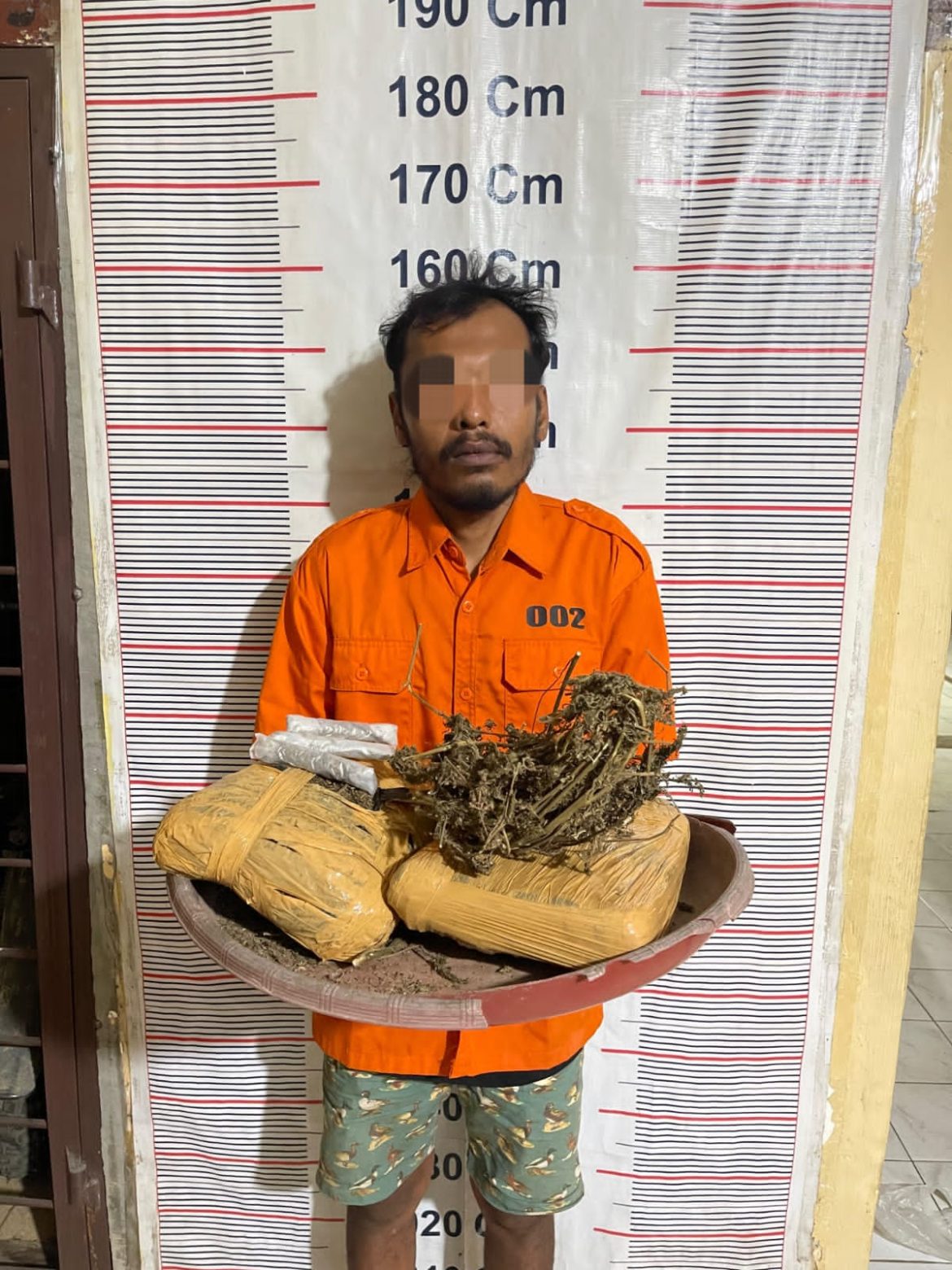 Polsek Bahorok Gagalkan Peredaran 2 Kilogram Ganja di Bukit Lawang, Satu Warga Bahorok Diamankan.
