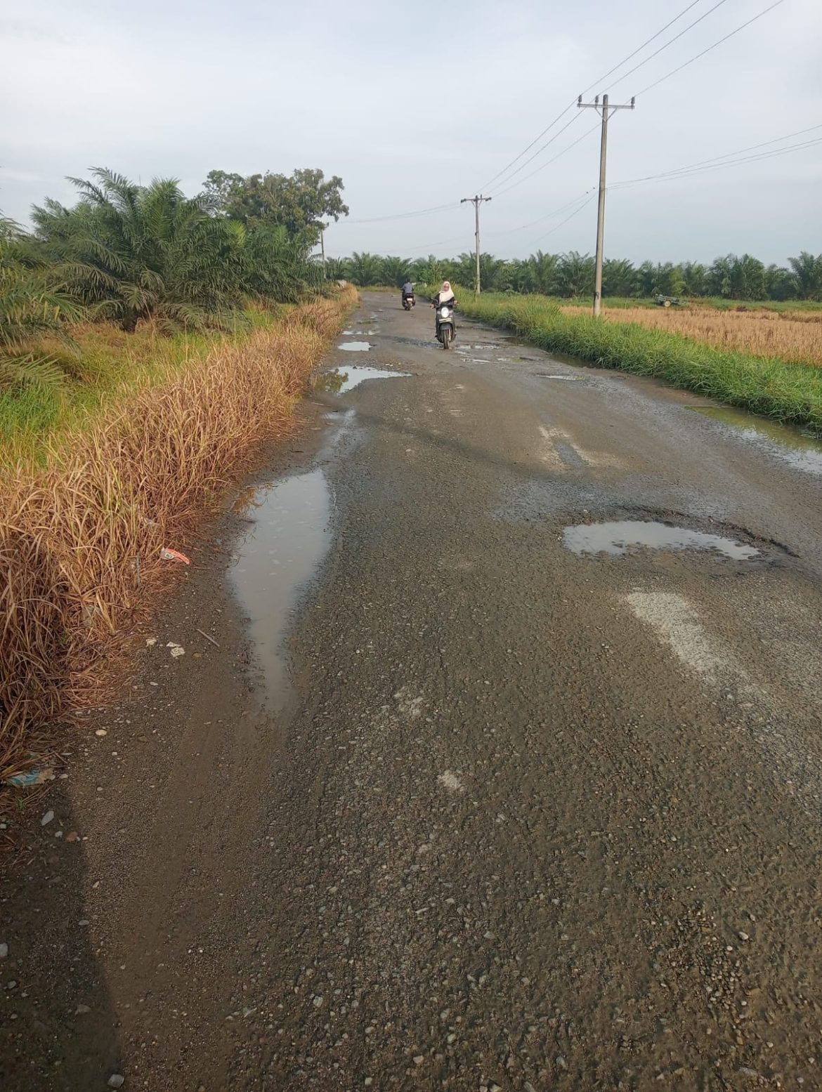 Akses Jalan Kecamatan Secanggang Masih Banyak Rusak Parah.Warga Harap Perhatian Pemerintah