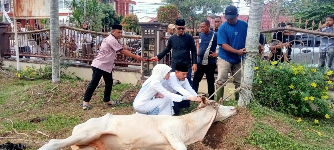 Pemko Tebing Tinggi Potong 14 Ekor Lembu Kurban, Wali Kota Ajak Perkuat Kepedulian Sosial