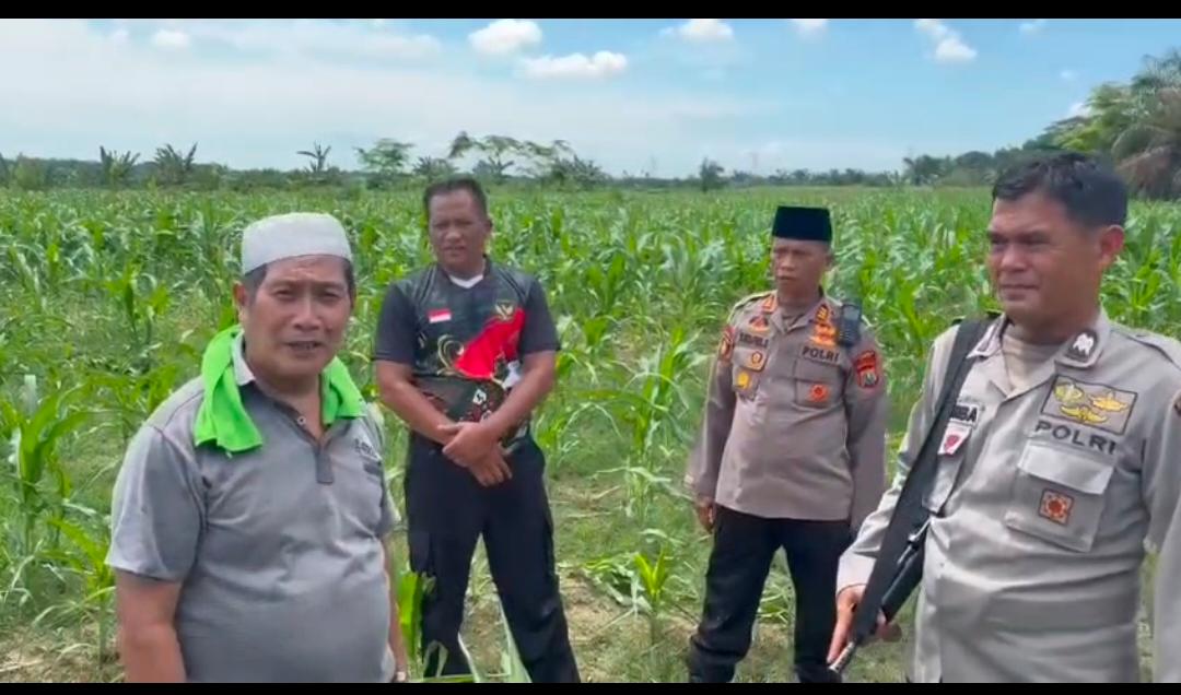Respon Cepat Sat Samapta Polres Langkat Berhasil Amankan Hewan Qurban Lepas di Stabat