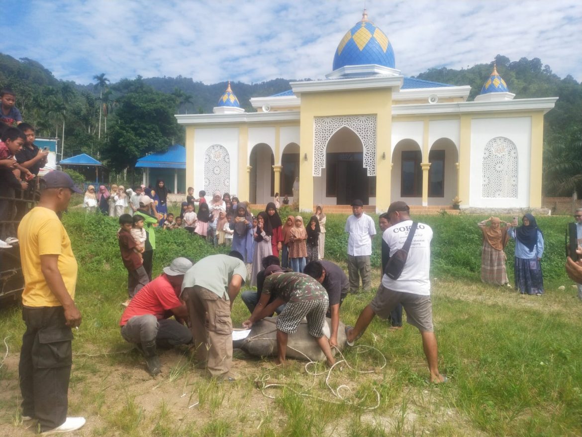 Tebar Kepedulian di Hari Raya Kurban, Yayasan Bina Ummat Pasaman Perkuat Nilai Keikhlasan dan Ukhuwah Islamiyah   