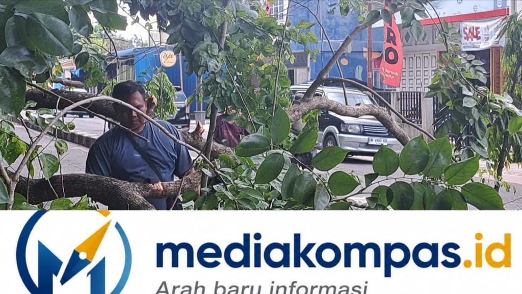 Batang Pohon Senna Berusia Puluhan Tahun Patah Timpah Belasan Sepeda Motor Dan Tiang Lampu Di Tebingtinggi 
